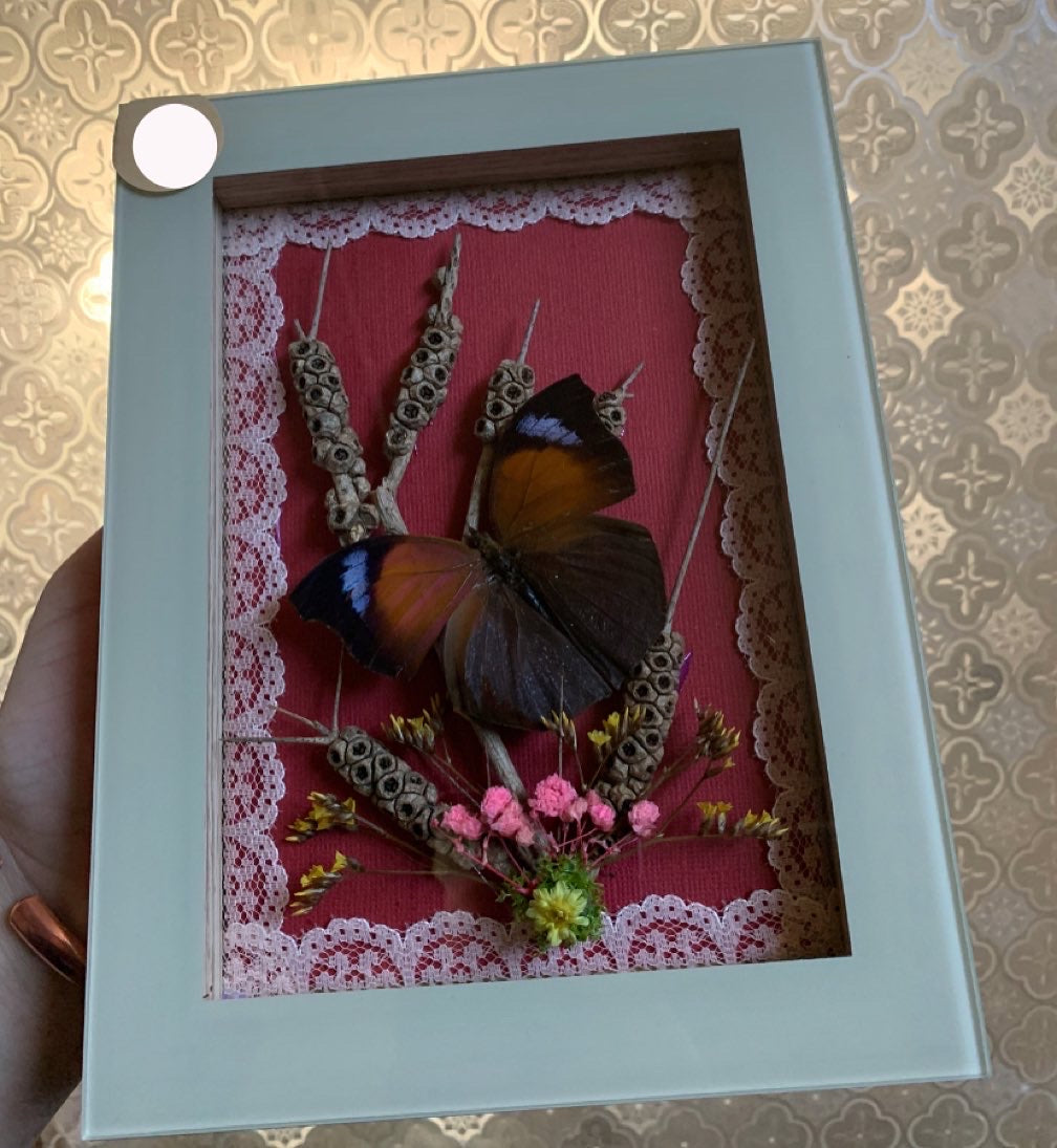 Butterfly frame