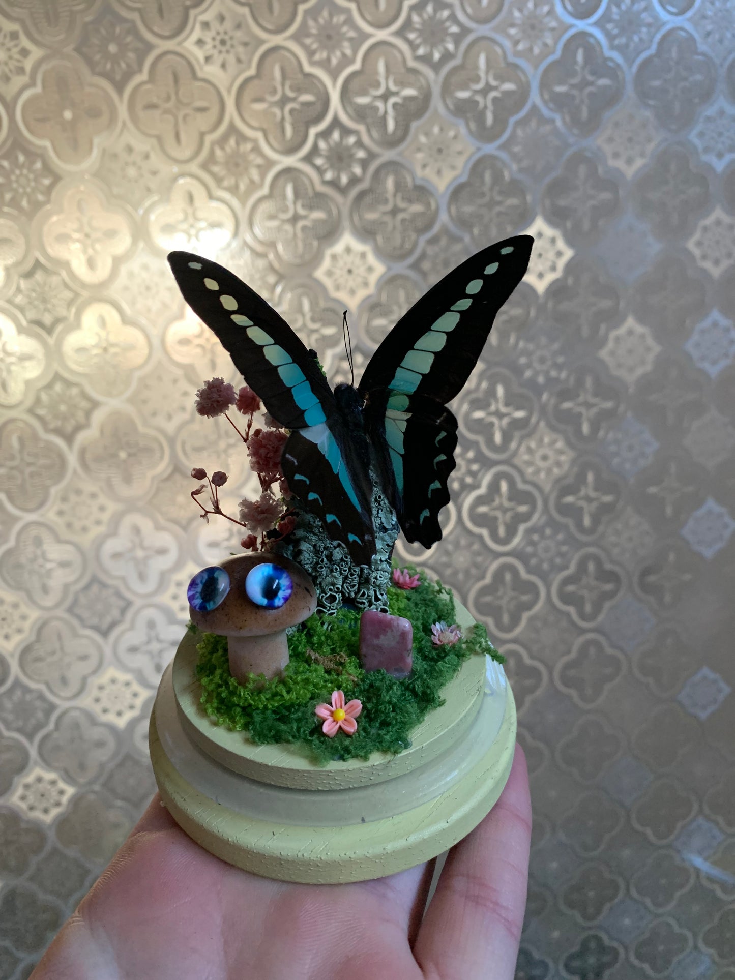 Small mushroom with eyes dome