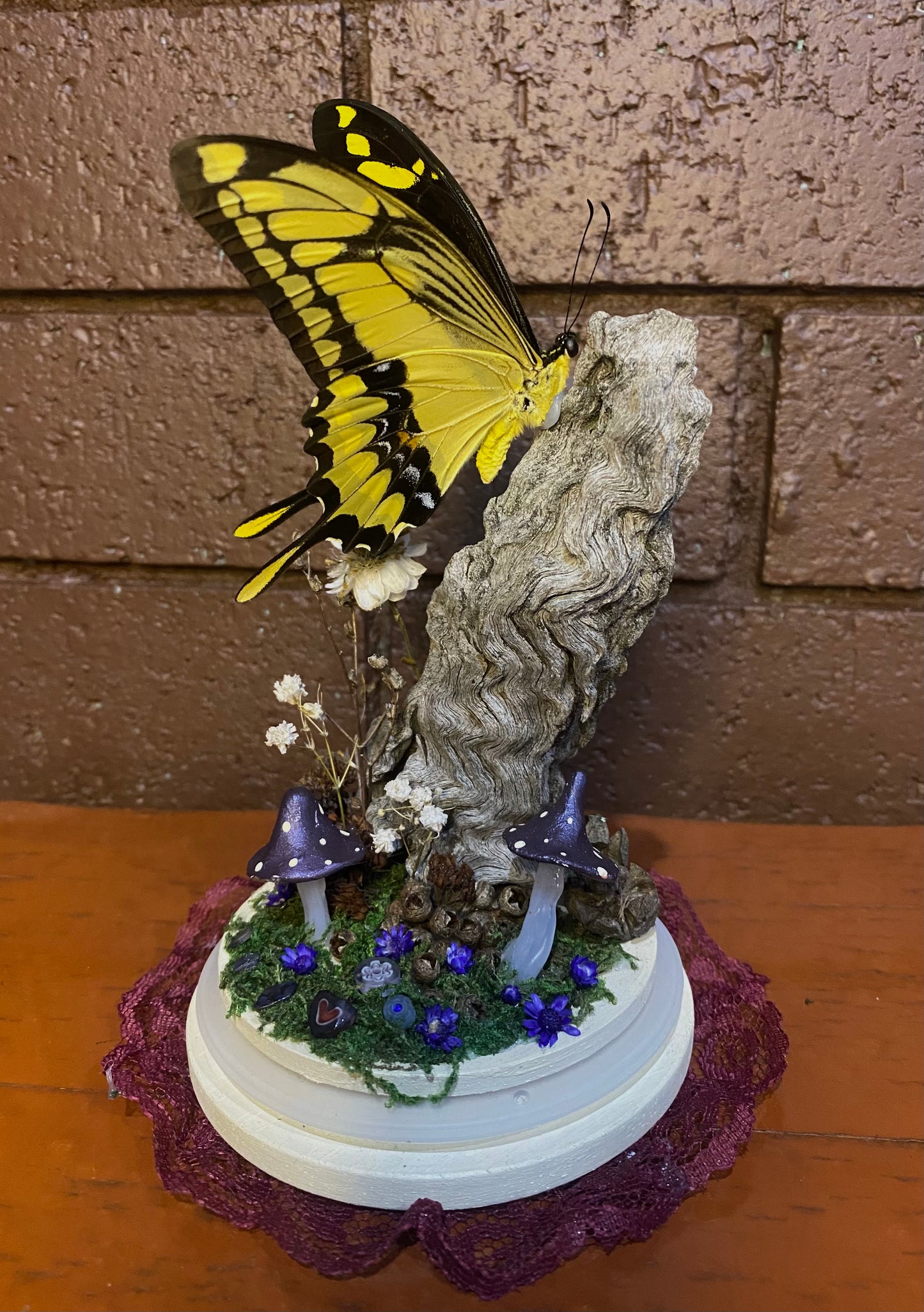 Large Butterfly Dome with Heraclides thoas
