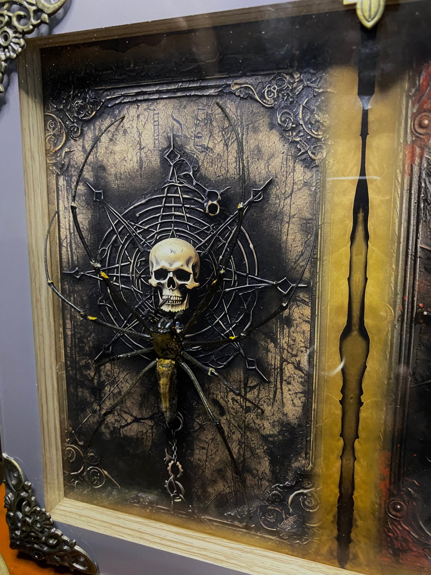Large Double Frame with Golden Orb Weaver and Large Scorpion