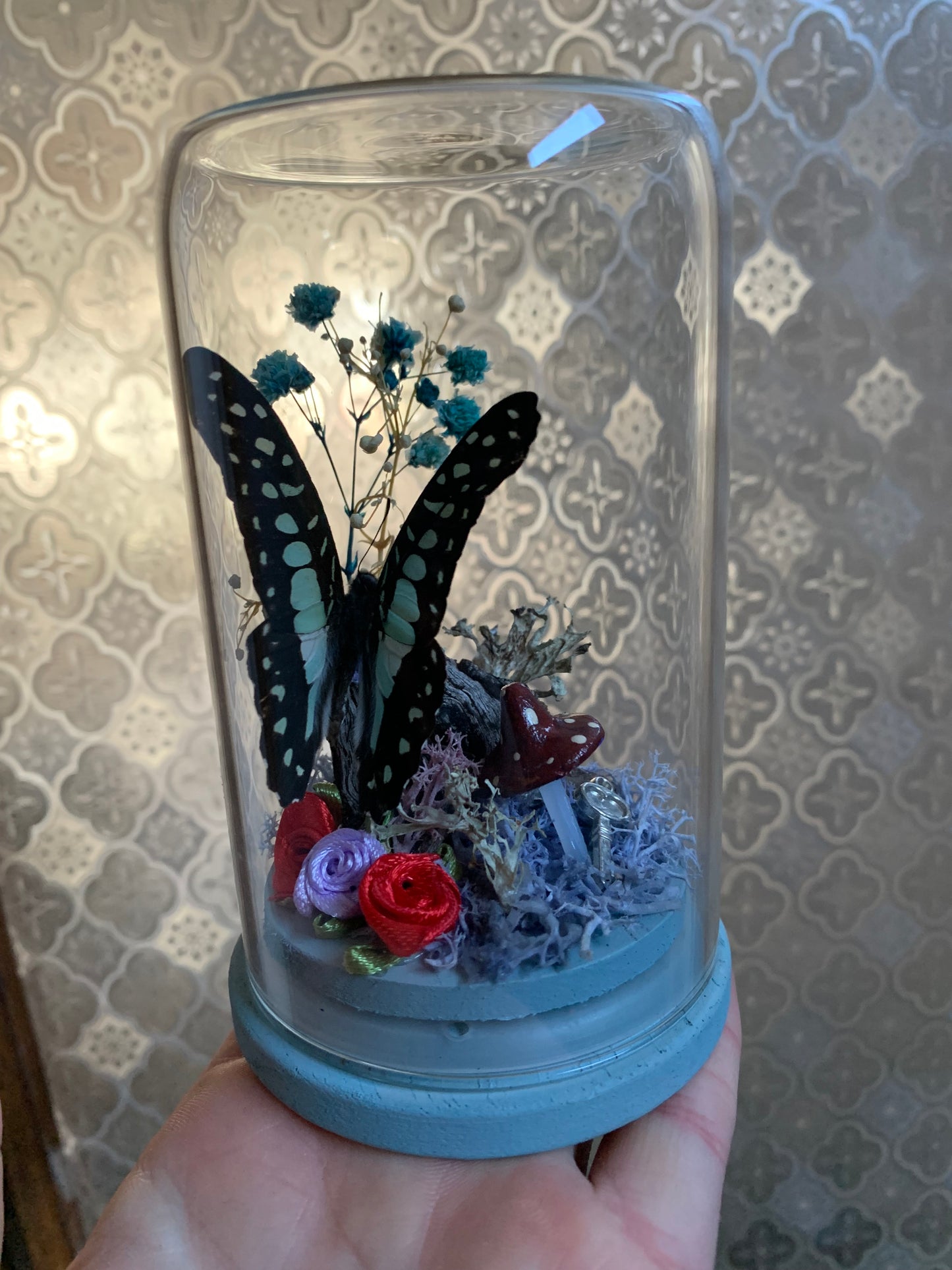 Small Graphium Sarpedon
