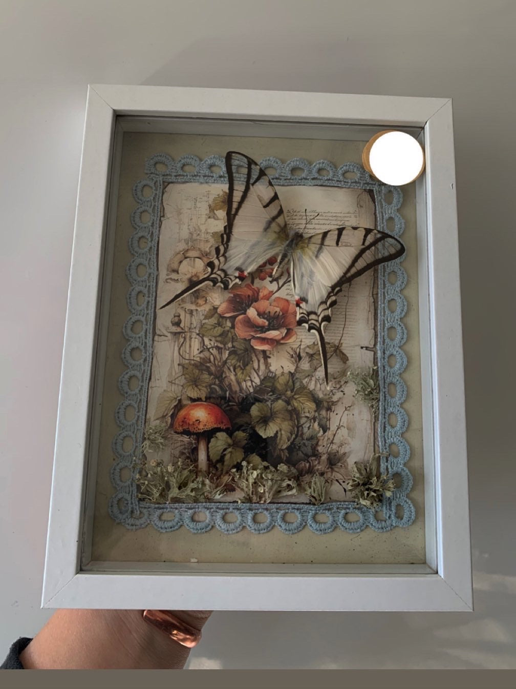 Butterfly frame