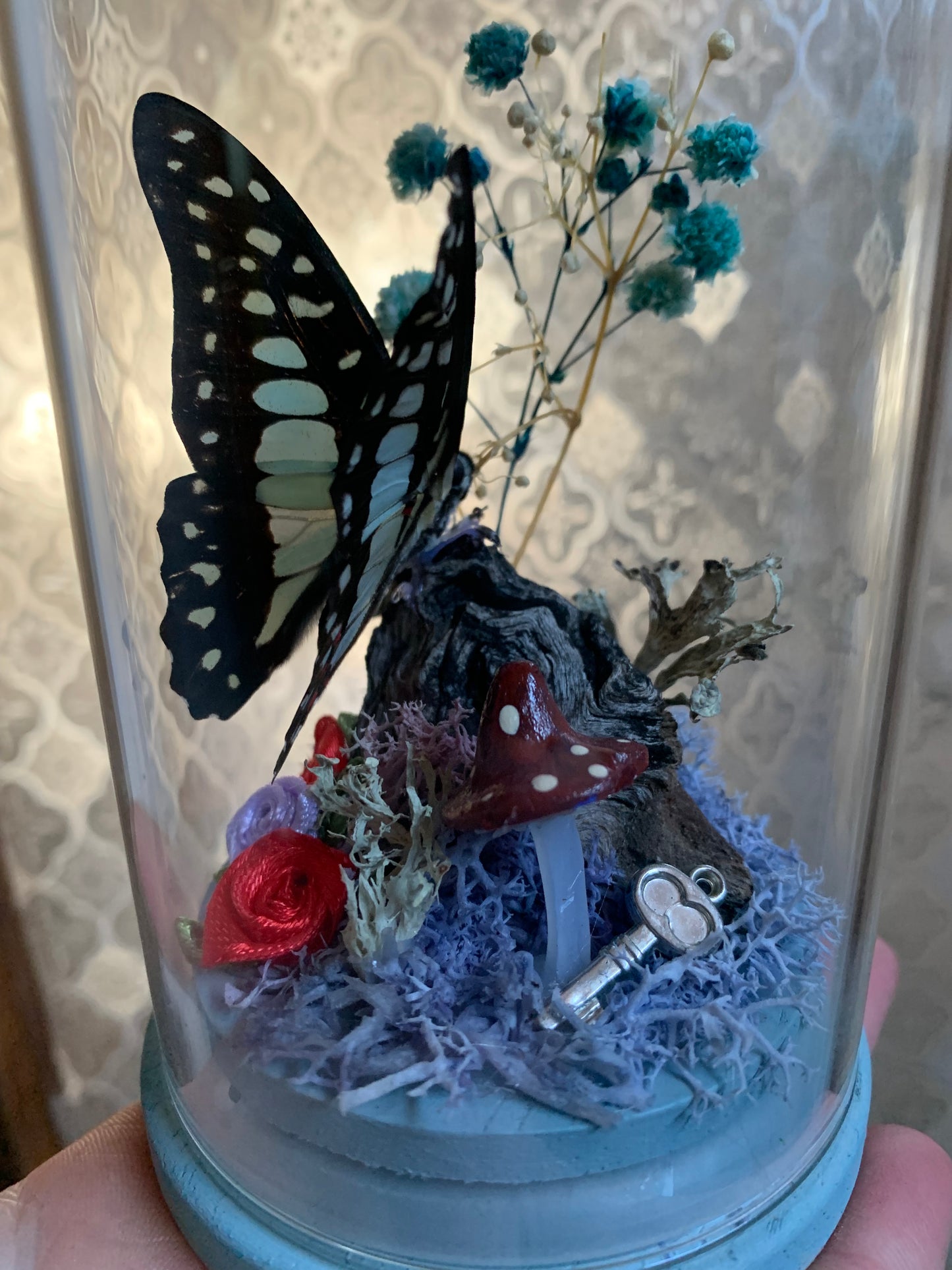 Small Graphium Sarpedon