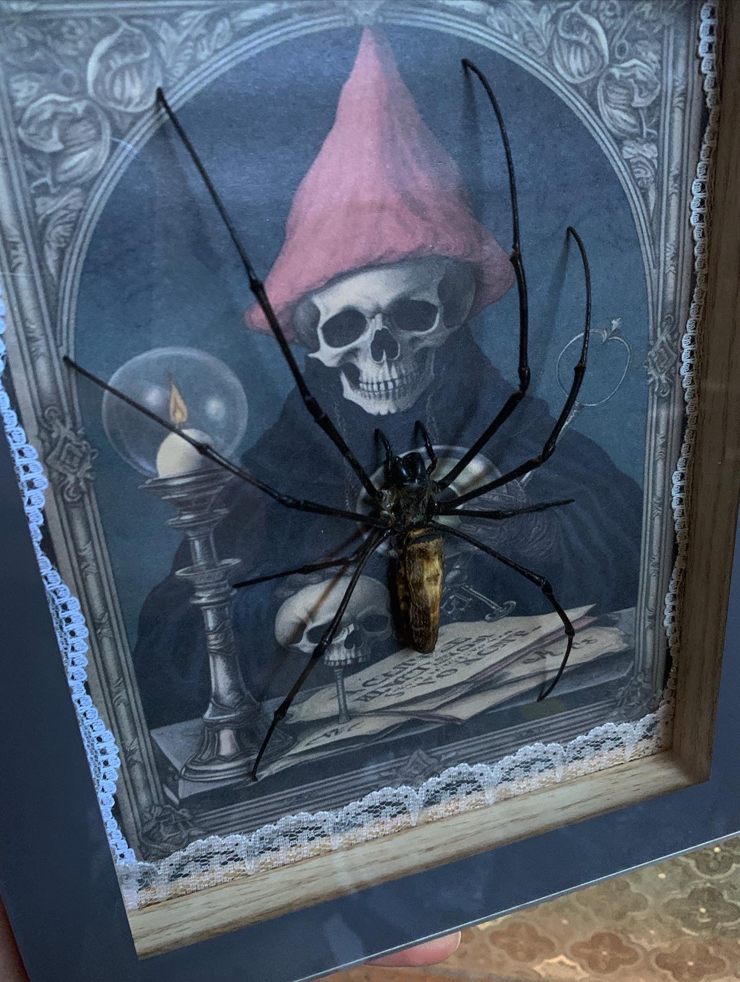 Golden Orb spider frame