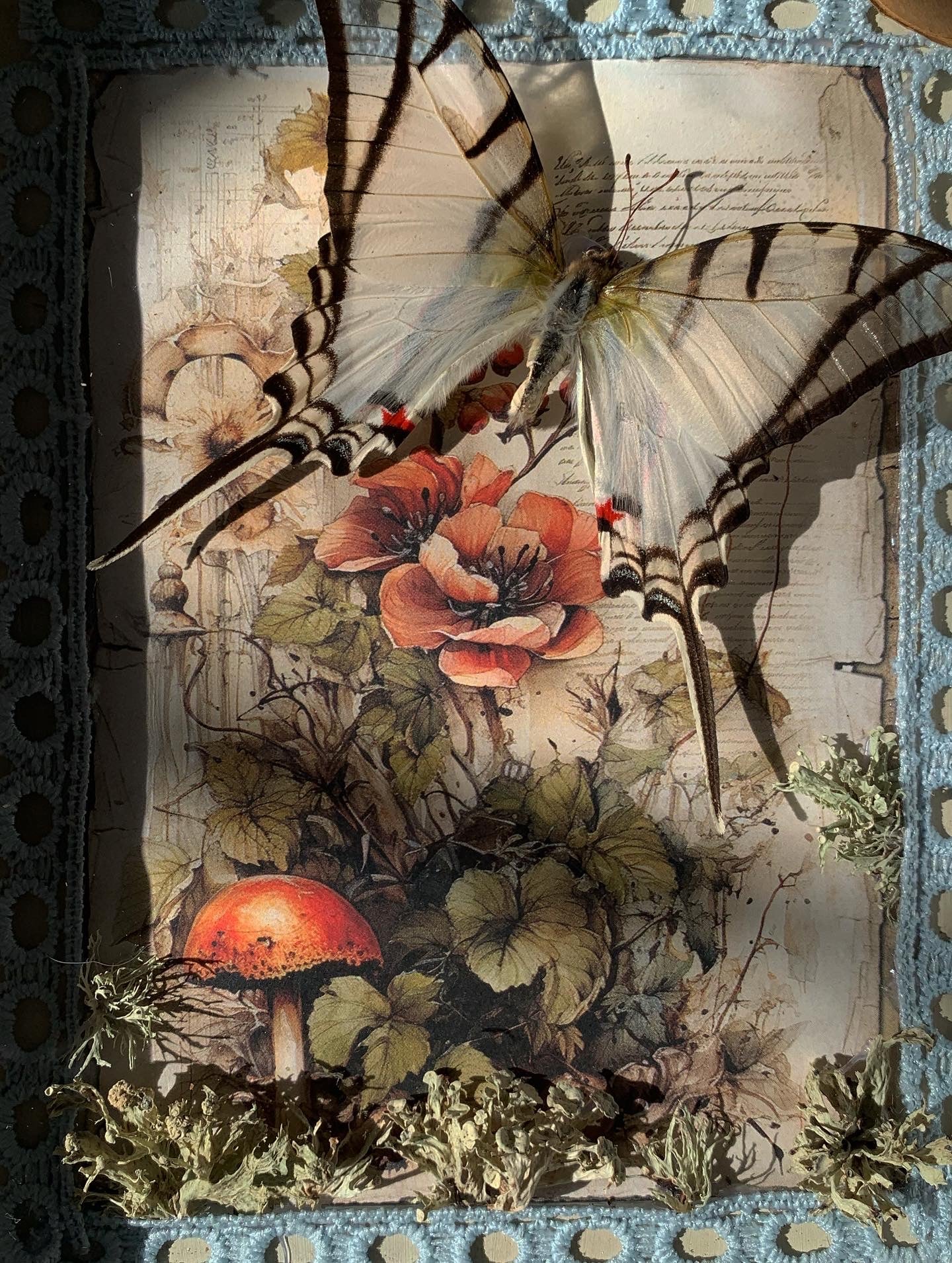 Butterfly frame