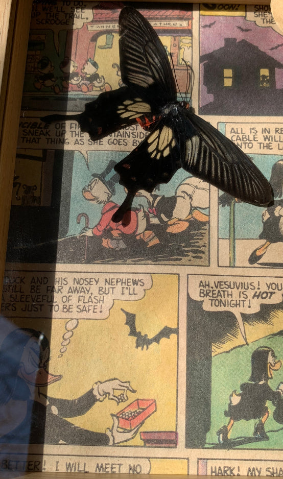 Vintage comic Butterfly frame