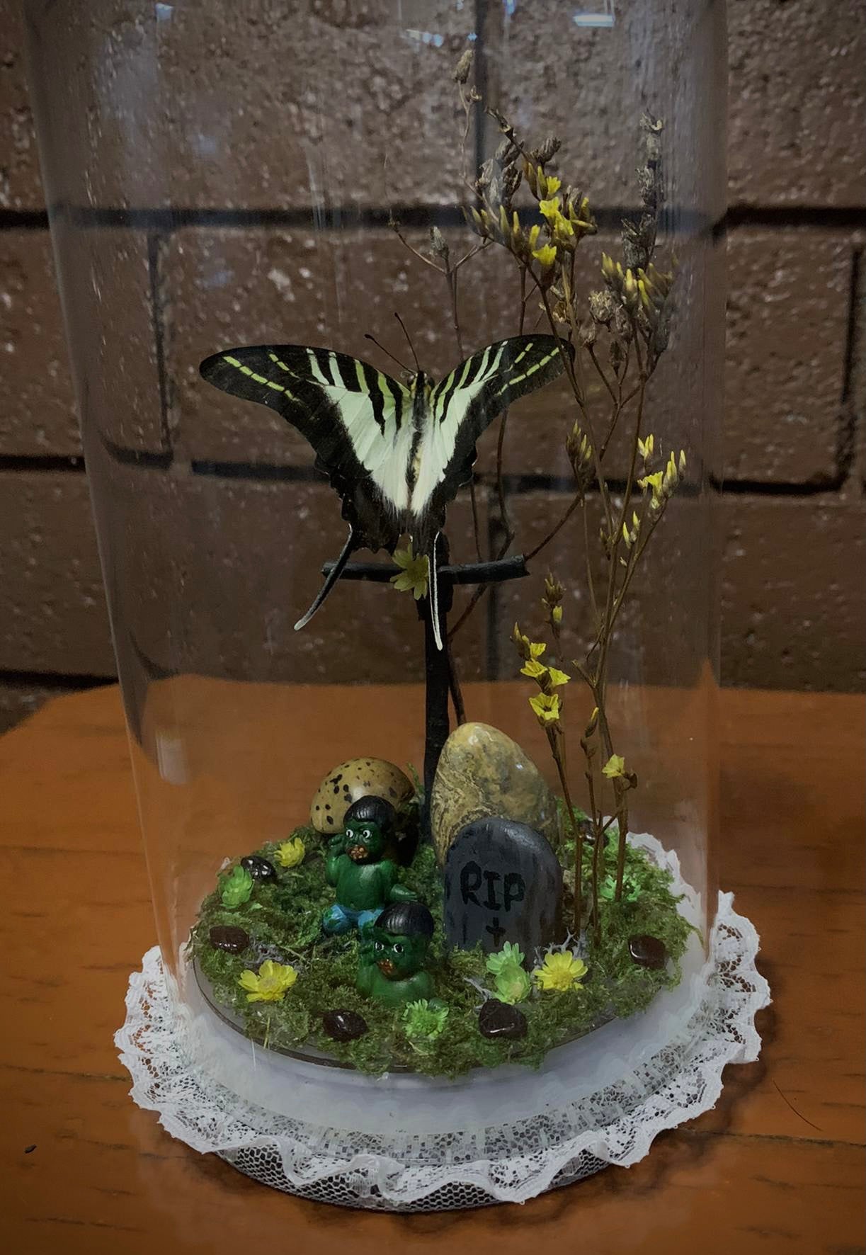 Zombie Butterfly Dome with (Graphium euphrates)
