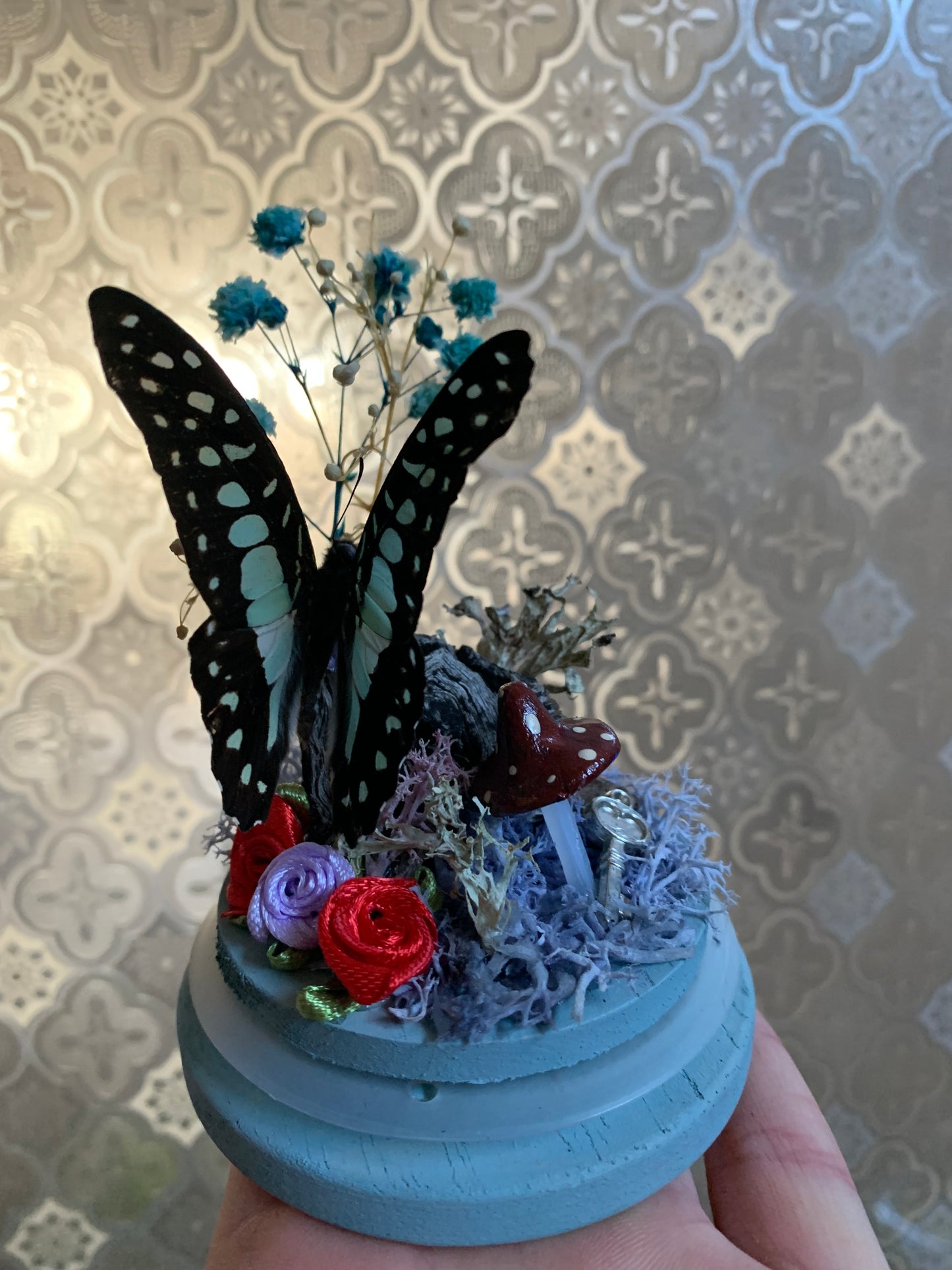 Small Graphium Sarpedon