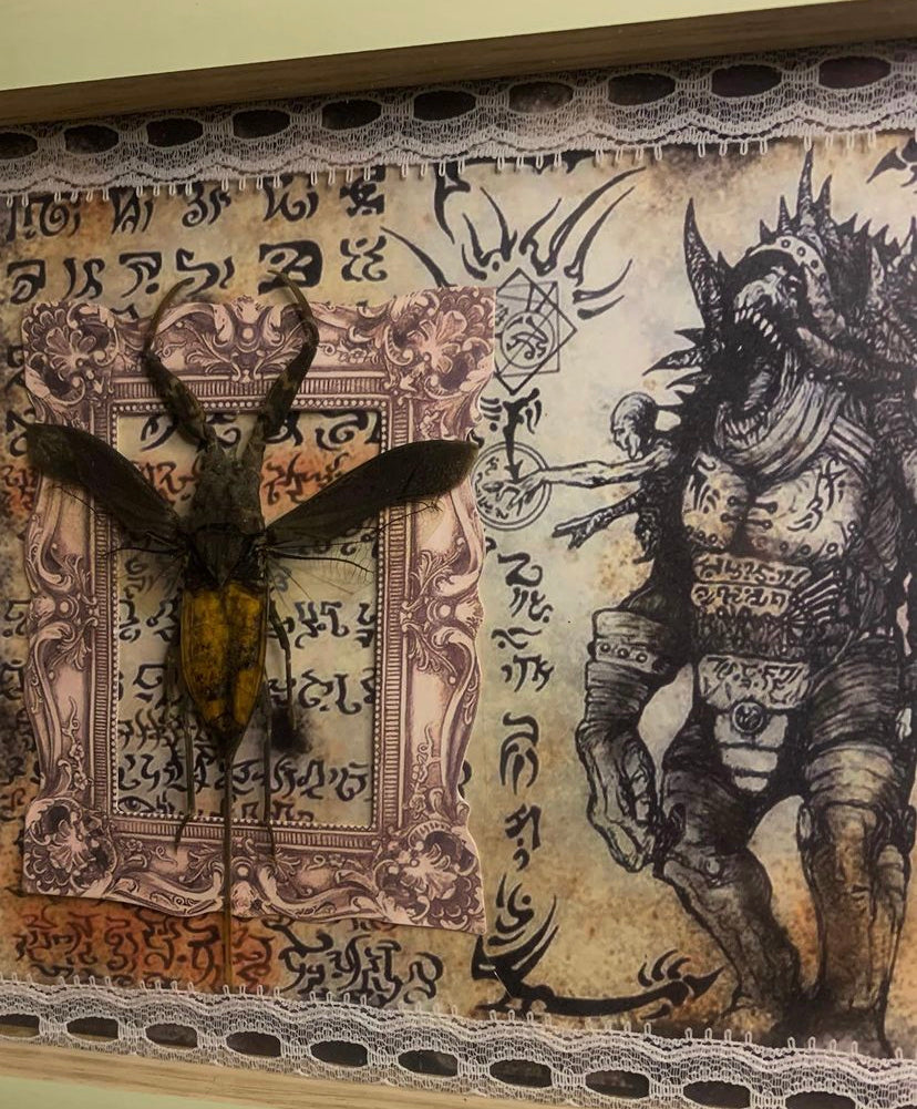 Framed Java Water Scorpion
