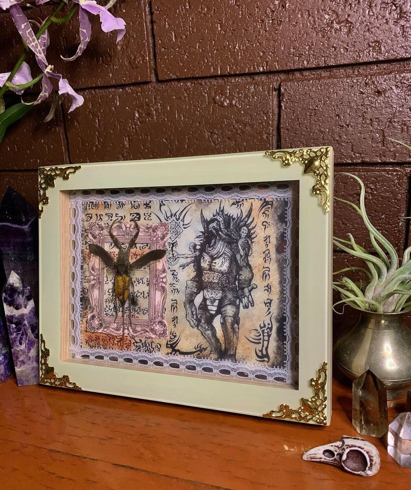 Framed Java Water Scorpion
