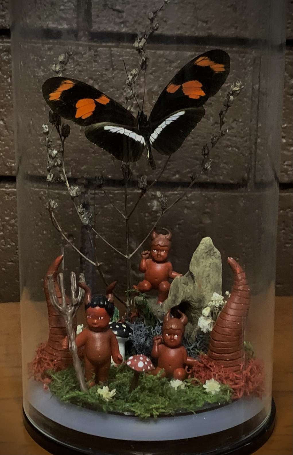 Hell Butterfly Dome (heliconius telesiphe)