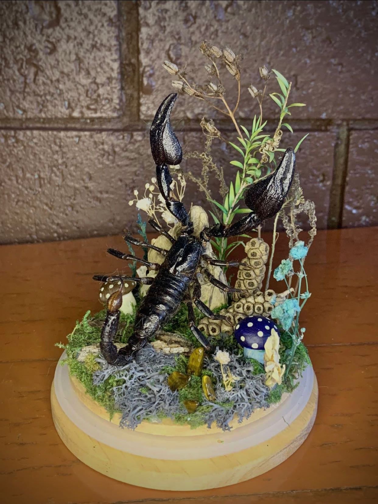 Large Scorpion Dome