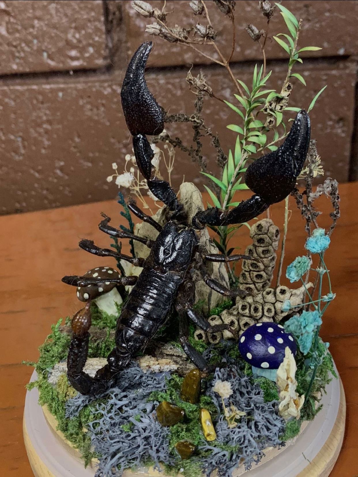 Large Scorpion Dome