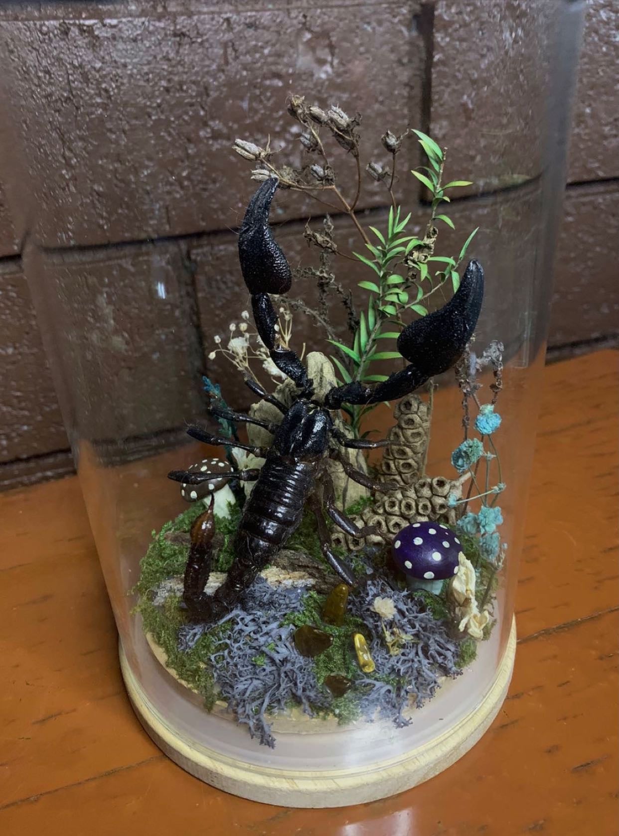 Large Scorpion Dome