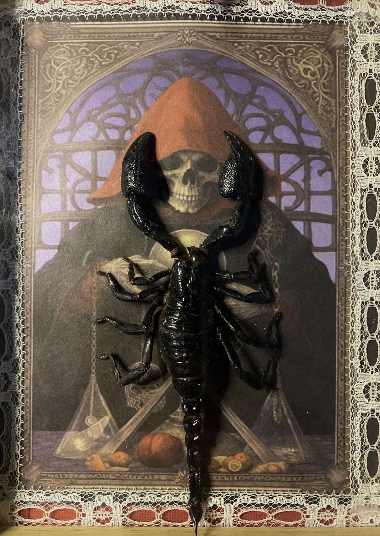 Framed Scorpion
