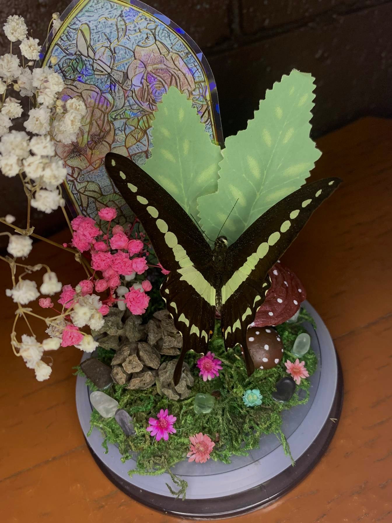 Butterfly Dome with Papilio demolion