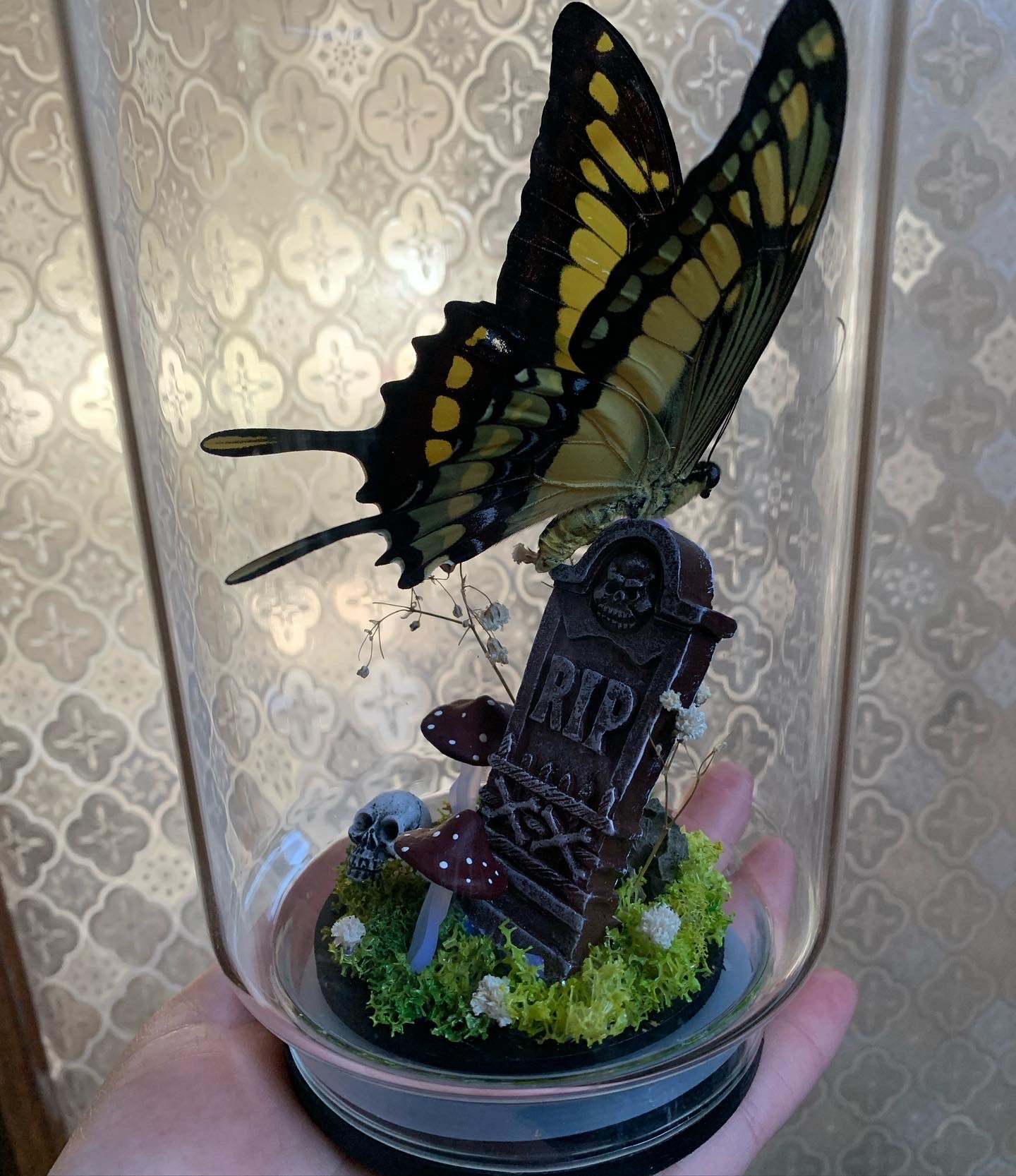 Butterfly perched on gravestone