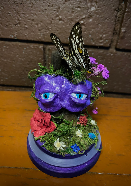 Small Butterfly Dome with clay eyes (Cyrestis maenalis