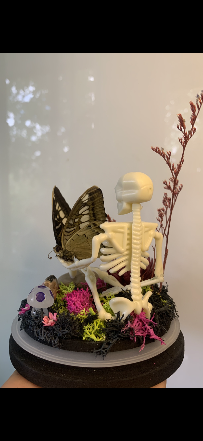 Large resting Skeleton Dome