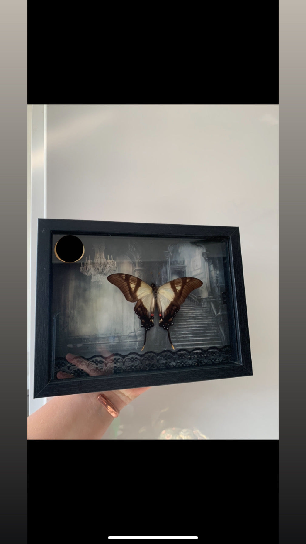 Butterfly frame