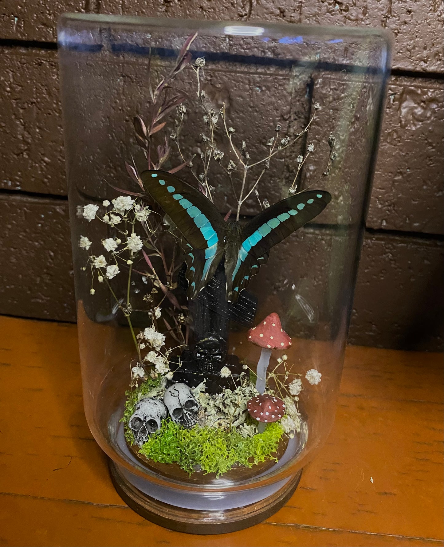 Large Butterfly Dome with Graphium Sarpedon