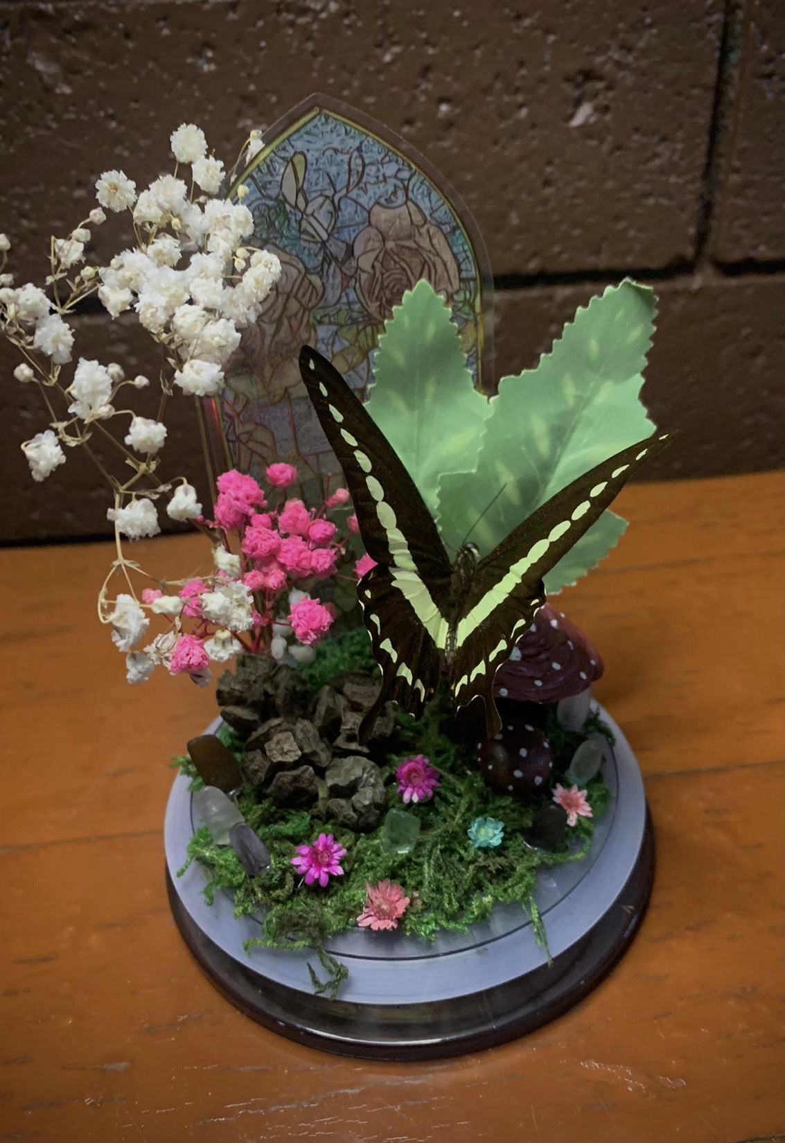 Butterfly Dome with Papilio demolion