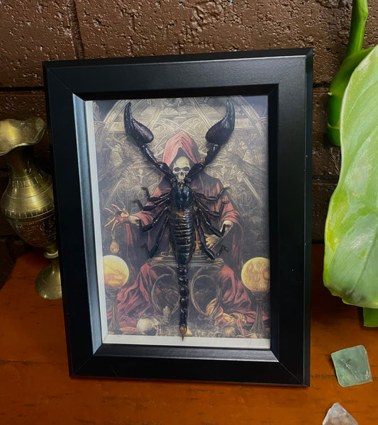 Large Scorpion Frame with Skull background