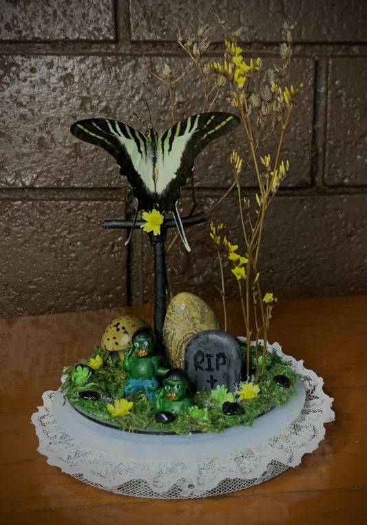 Zombie Butterfly Dome with (Graphium euphrates)