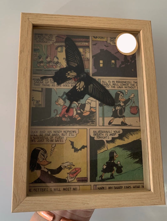 Vintage comic Butterfly frame