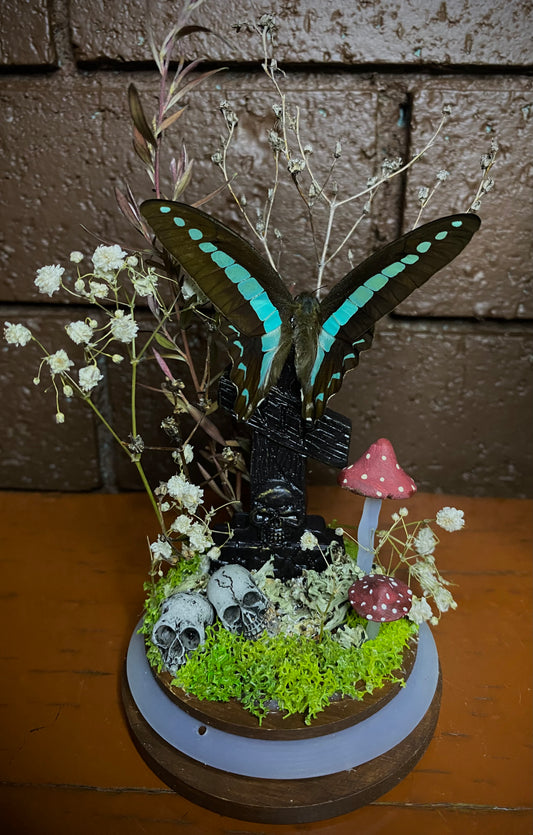 Large Butterfly Dome with Graphium Sarpedon