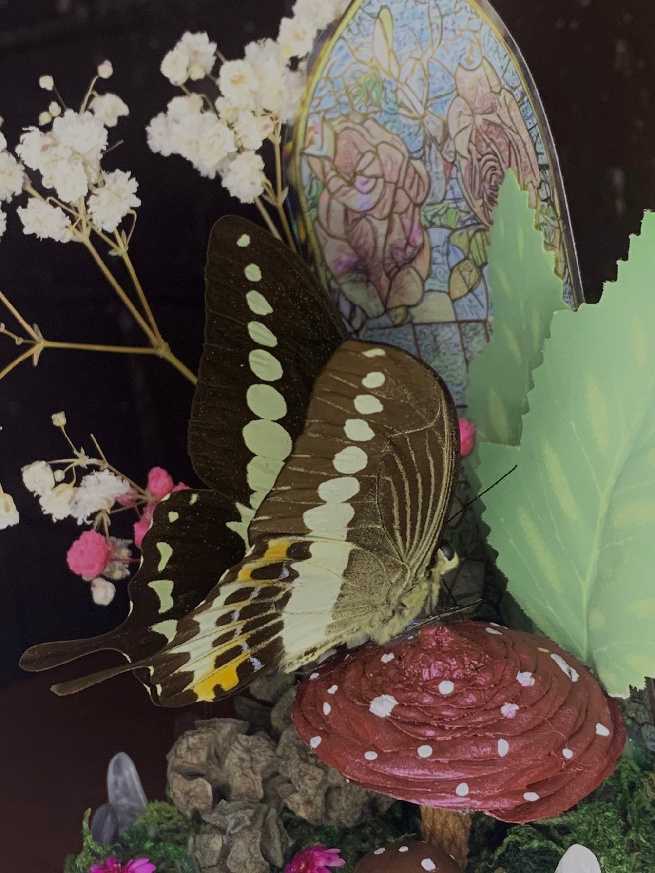 Butterfly Dome with Papilio demolion