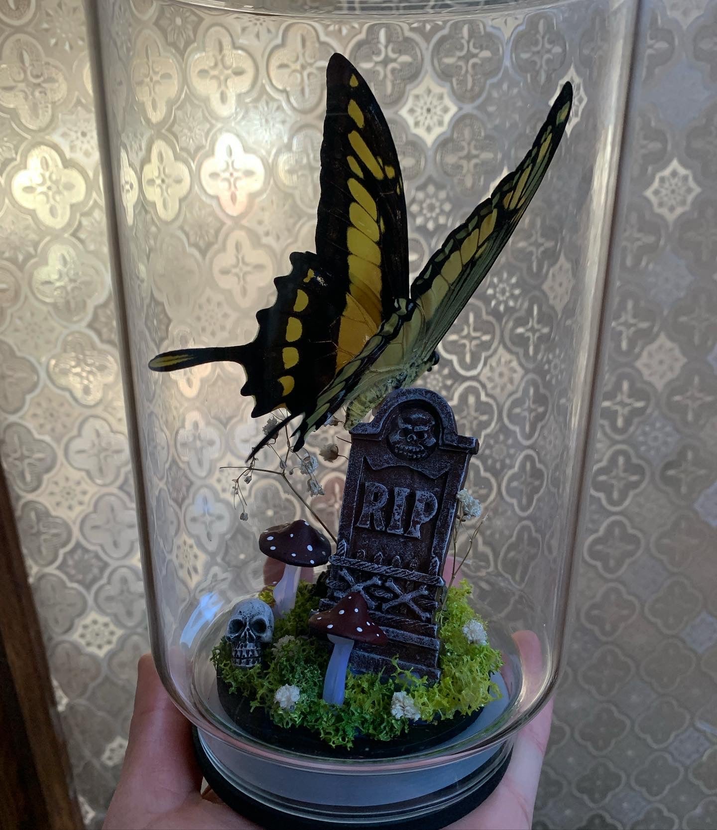 Butterfly perched on gravestone