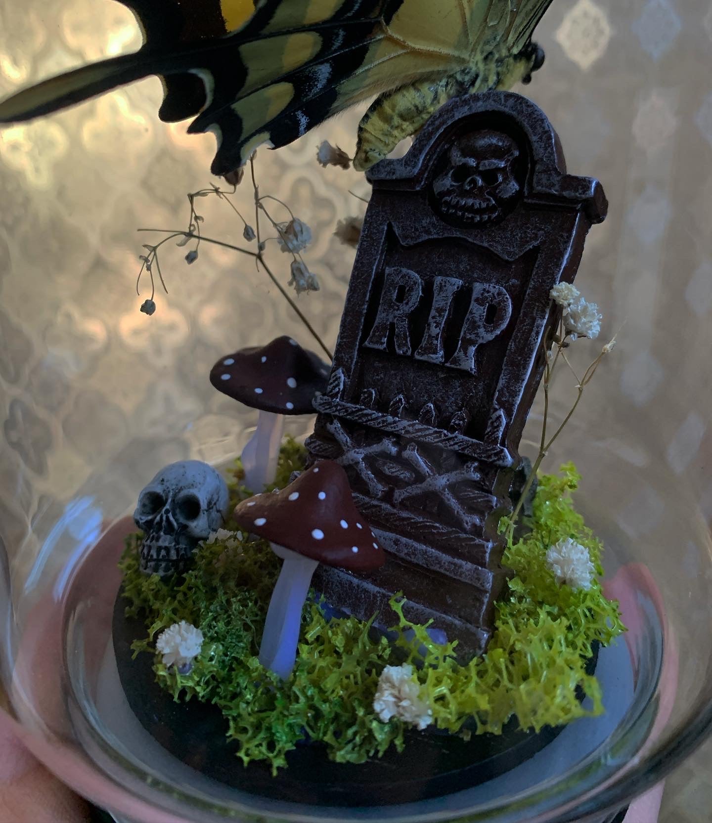 Butterfly perched on gravestone