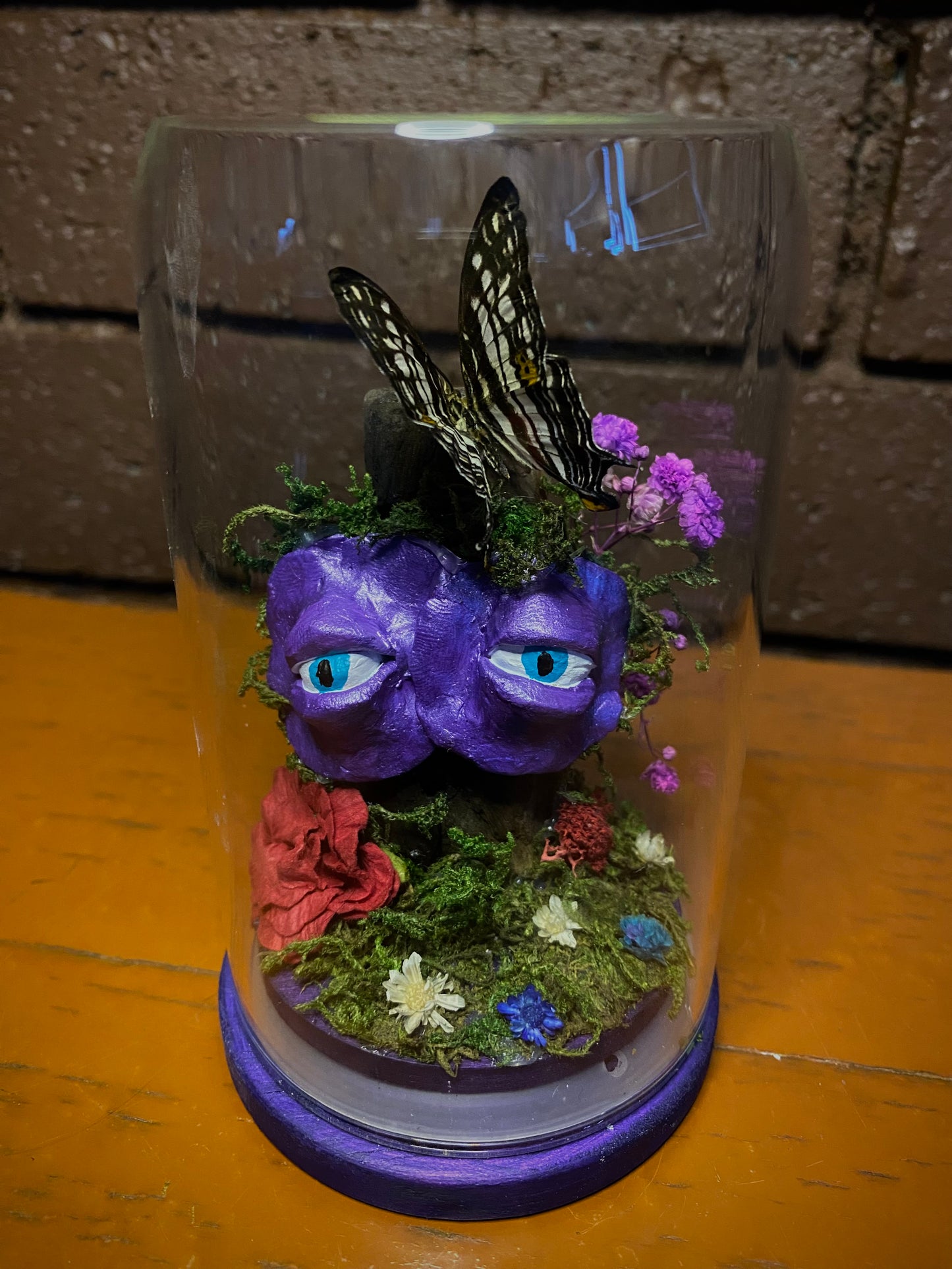 Small Butterfly Dome with clay eyes (Cyrestis maenalis