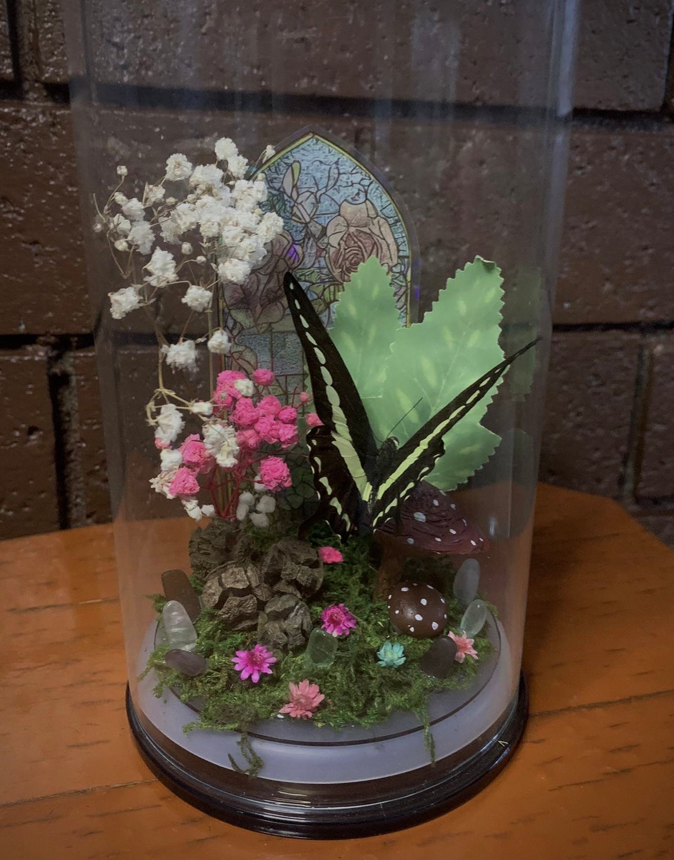 Butterfly Dome with Papilio demolion