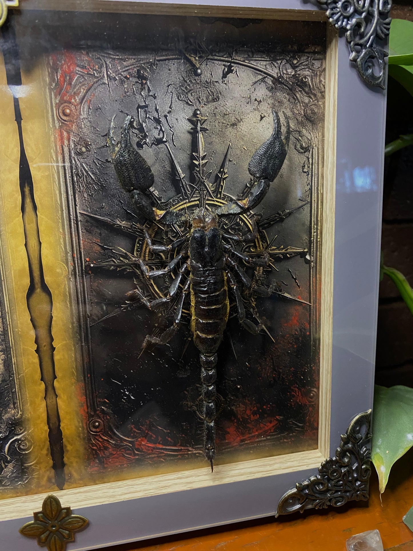 Large Double Frame with Golden Orb Weaver and Large Scorpion