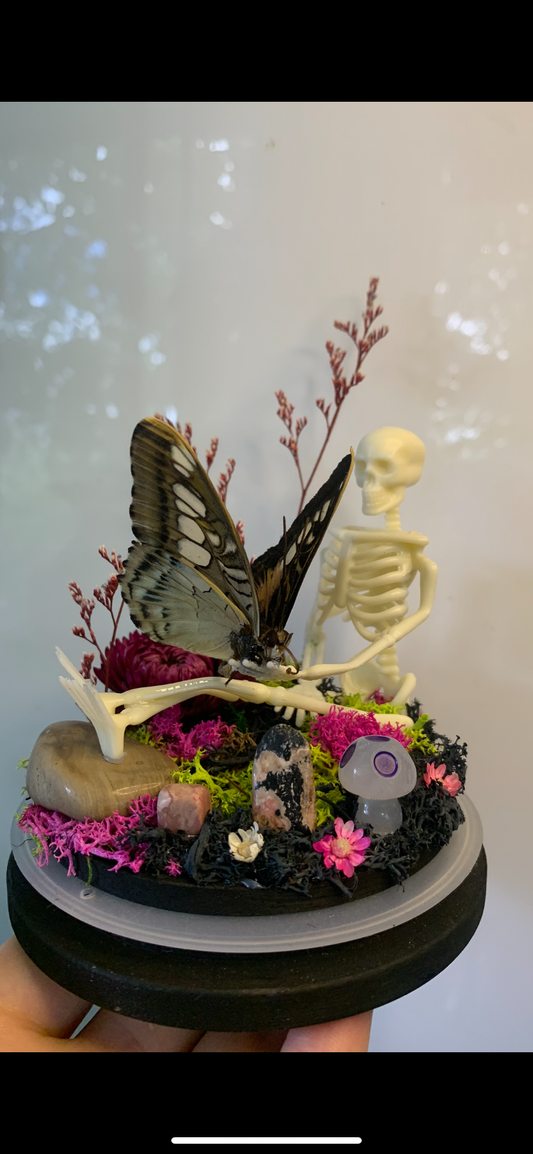 Large resting Skeleton Dome