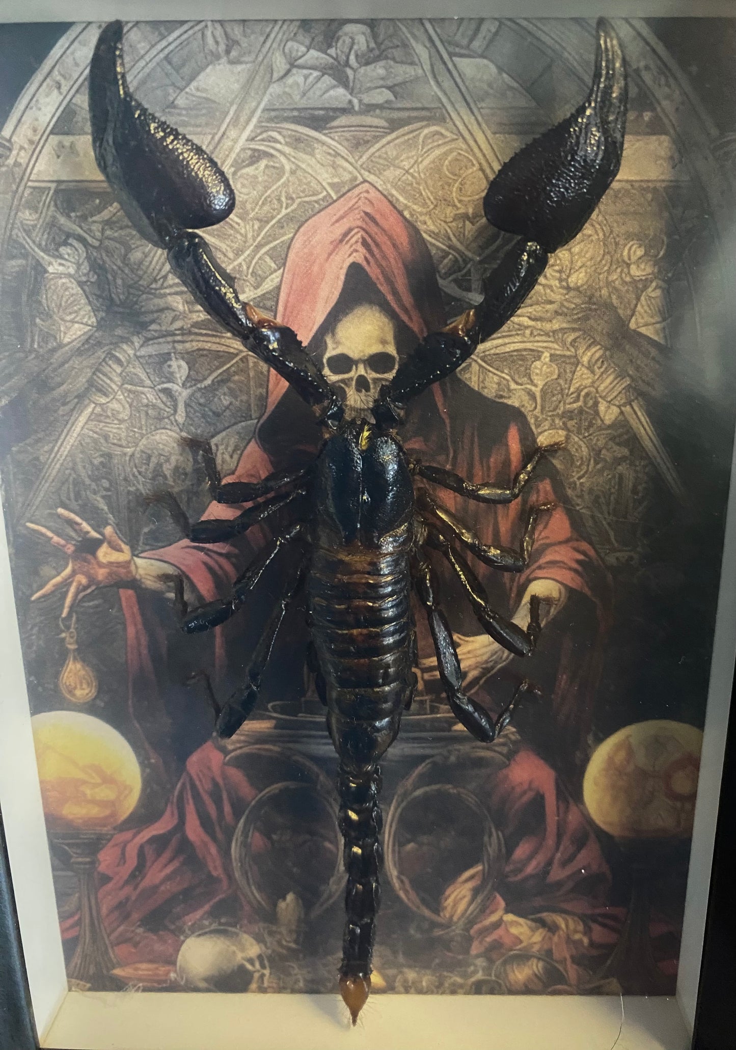 Large Scorpion Frame with Skull background