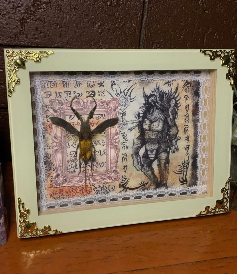 Framed Java Water Scorpion