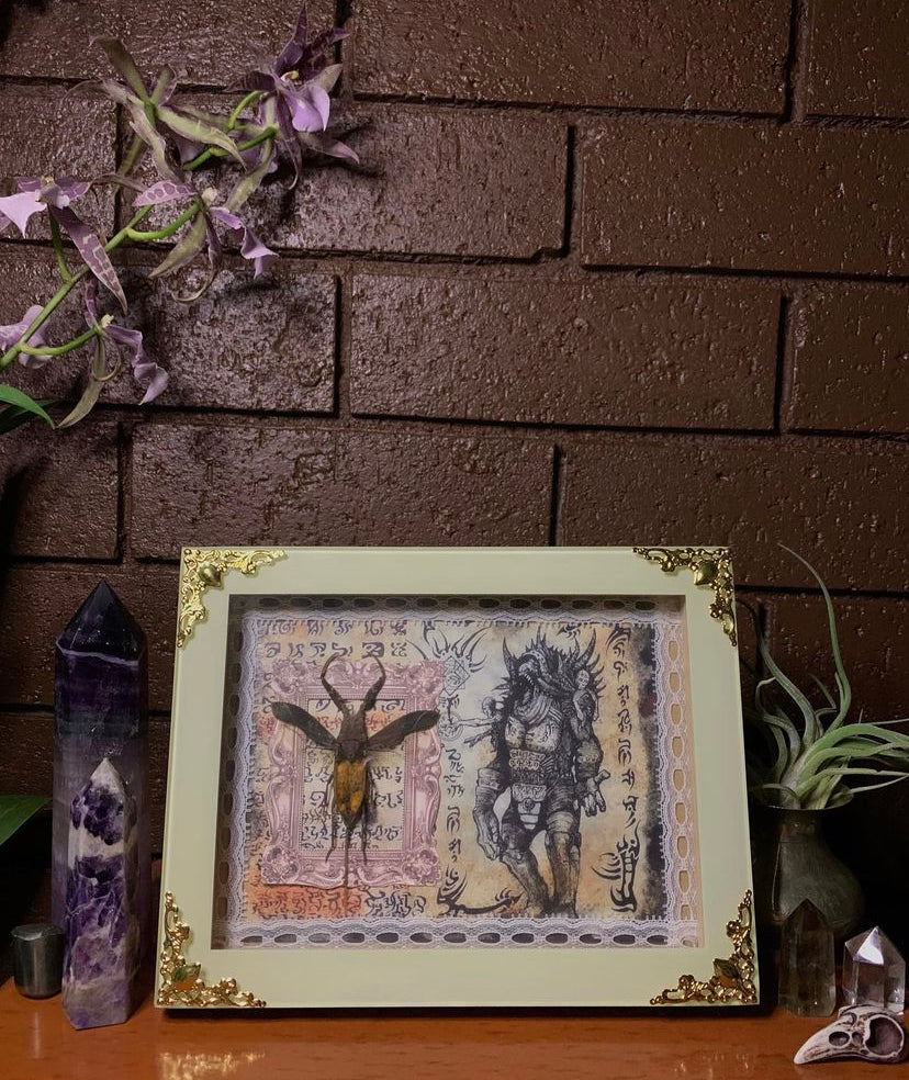 Framed Java Water Scorpion