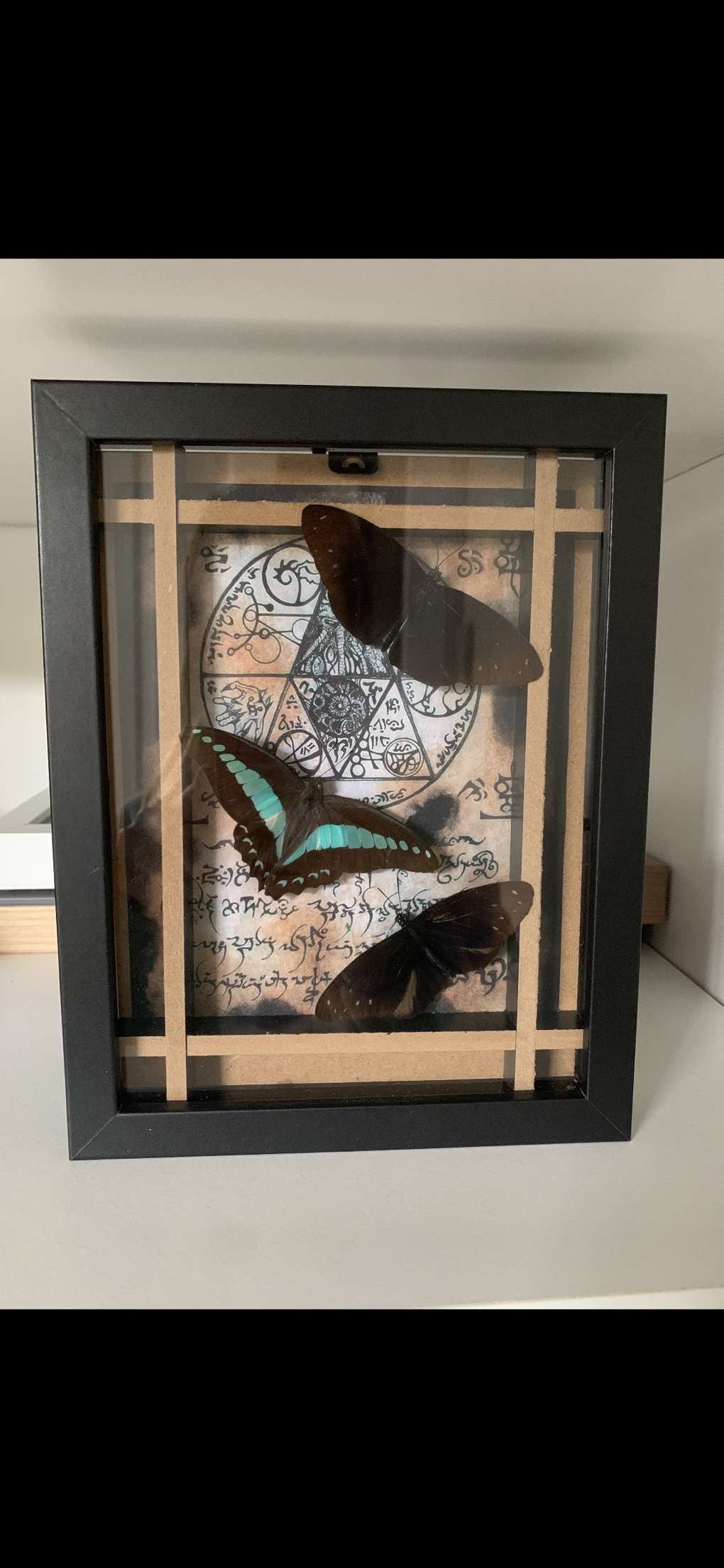 Three framed butterflies