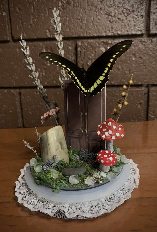 Secret Door Butterfly Dome