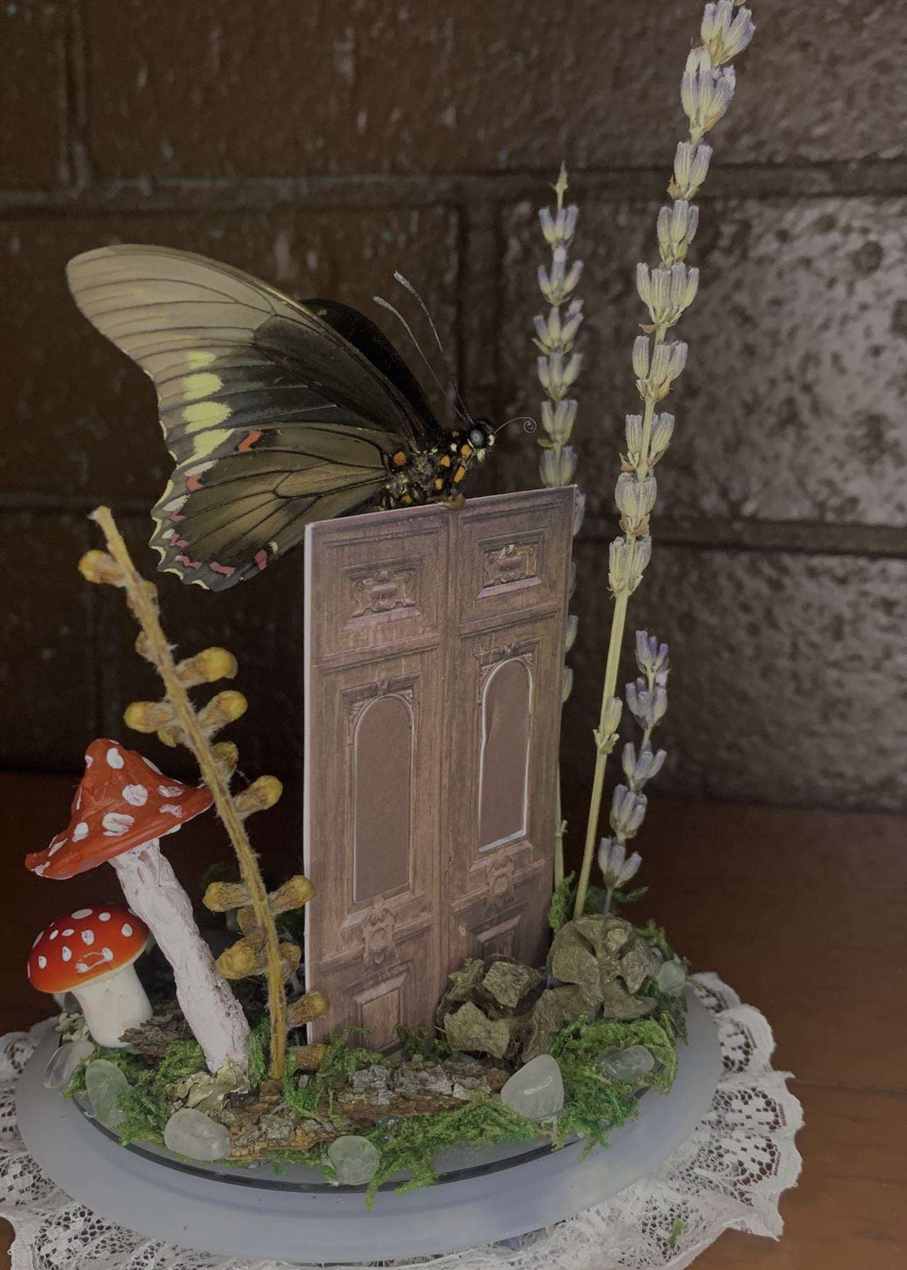 Secret Door Butterfly Dome