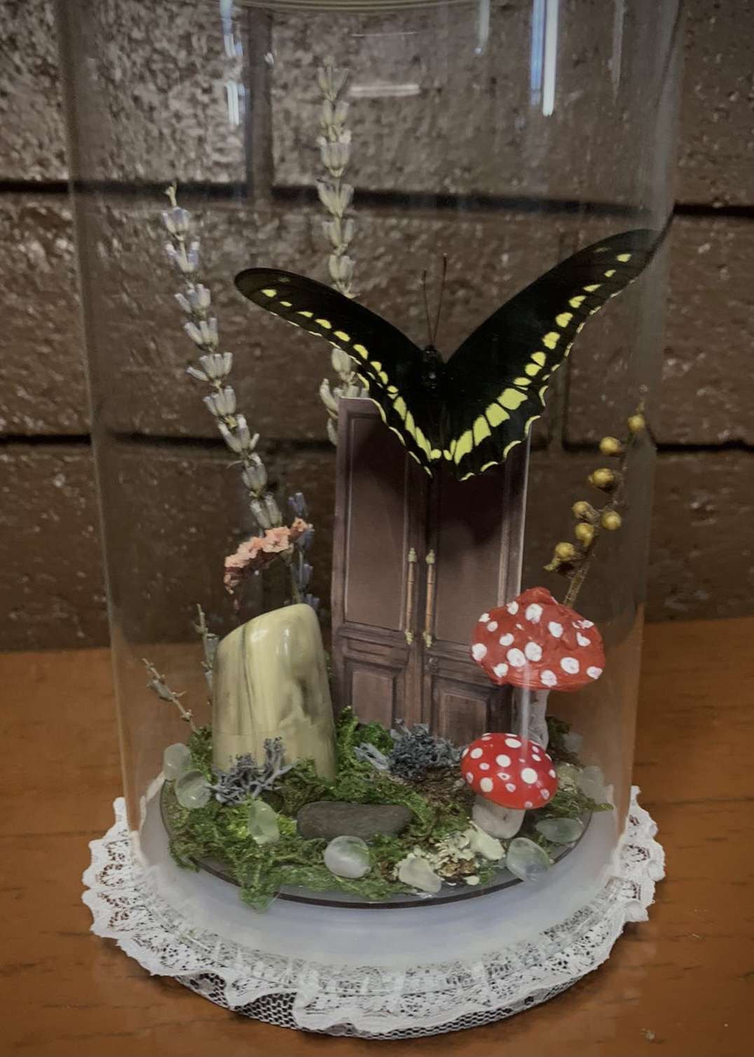 Secret Door Butterfly Dome