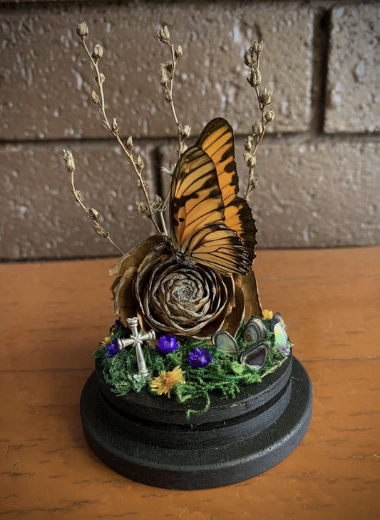 Small butterfly dome (Agraulis vanillae)