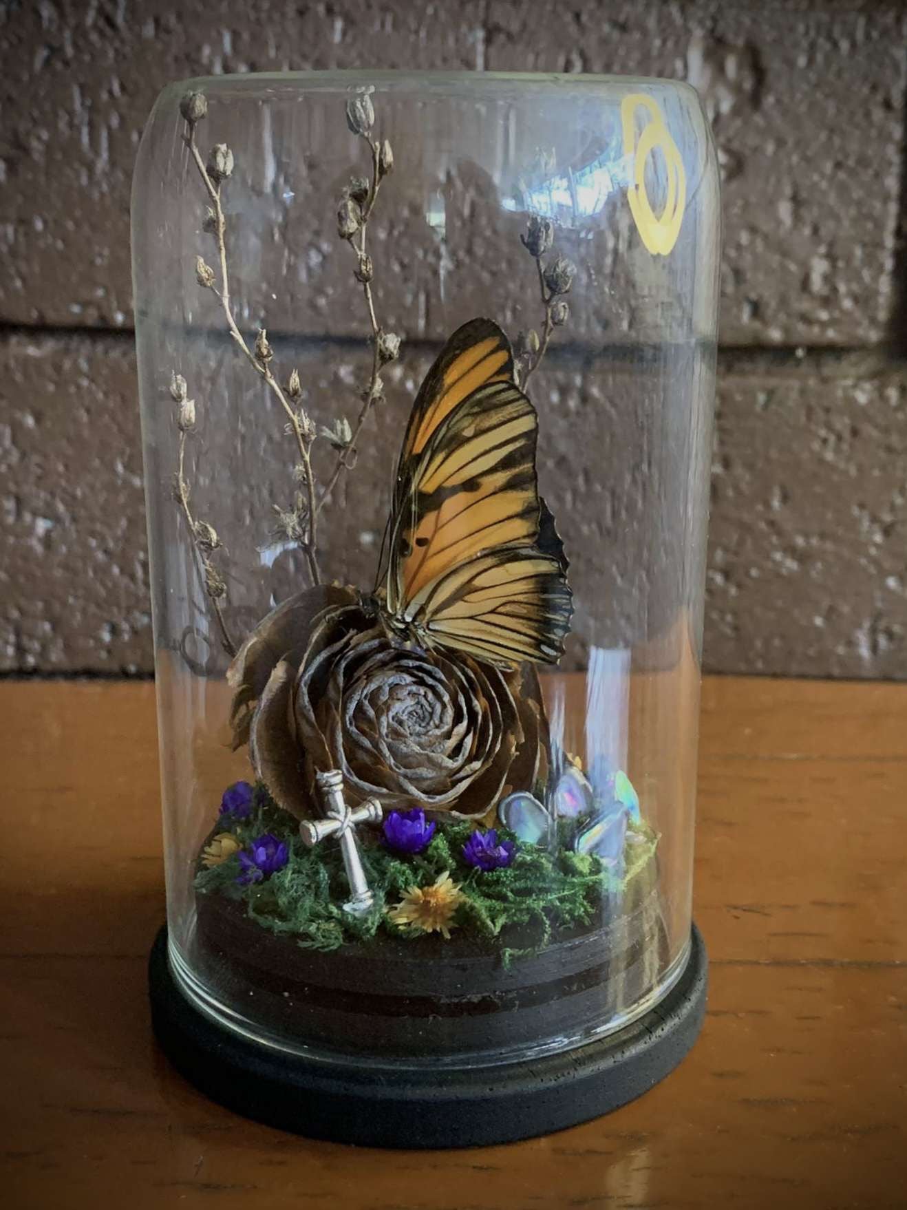 Small butterfly dome (Agraulis vanillae)