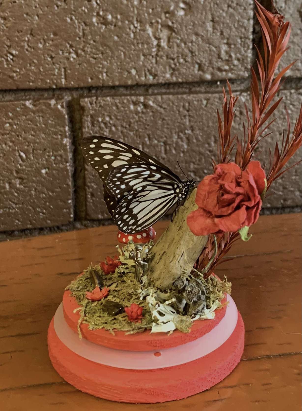 Butterfly Dome (Ideopsis Juventa Manillana)