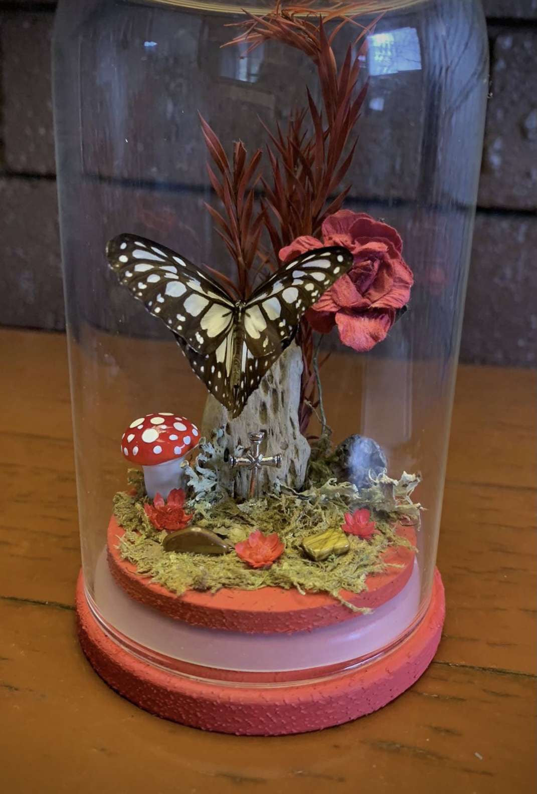 Butterfly Dome (Ideopsis Juventa Manillana)