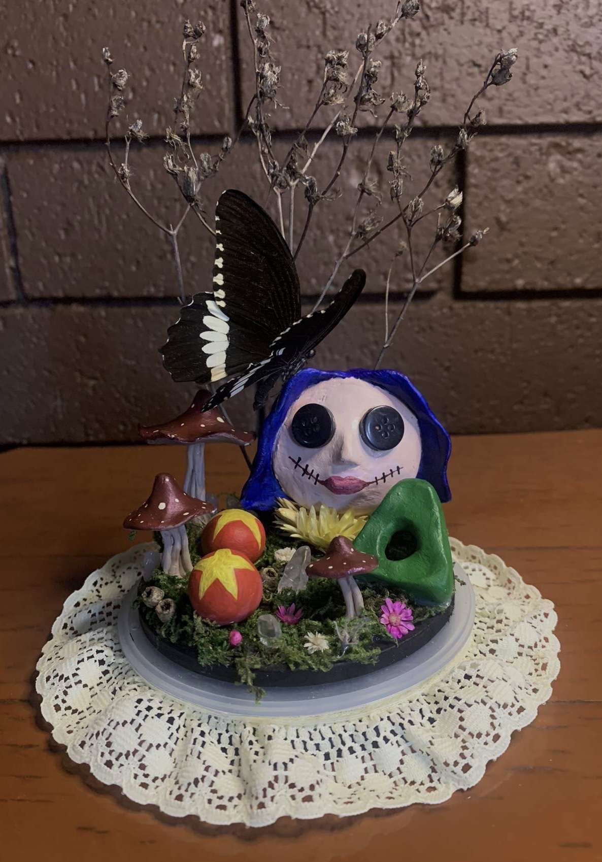 Coraline Butterfly Dome (Meneladies polytes ledebouria)