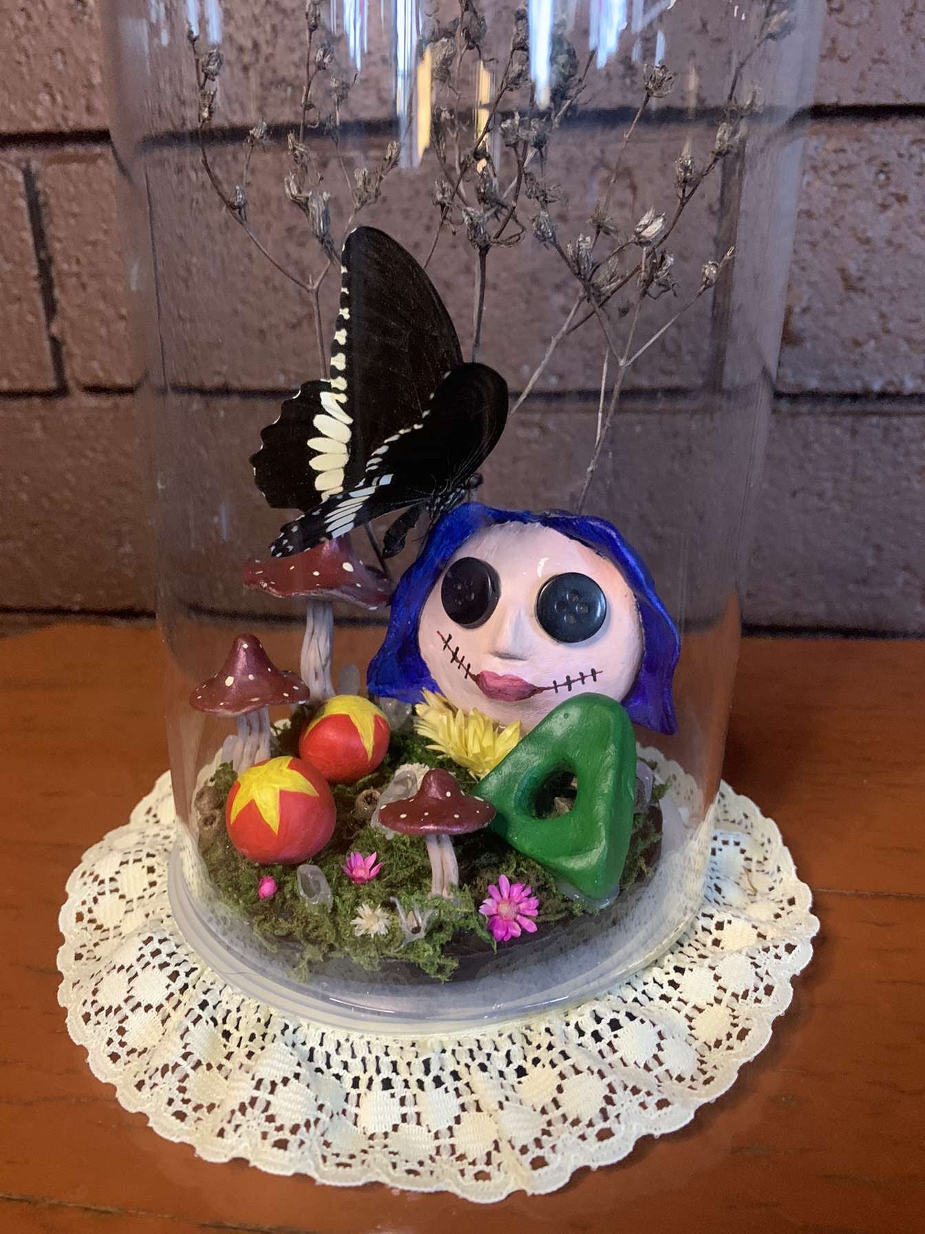 Coraline Butterfly Dome (Meneladies polytes ledebouria)